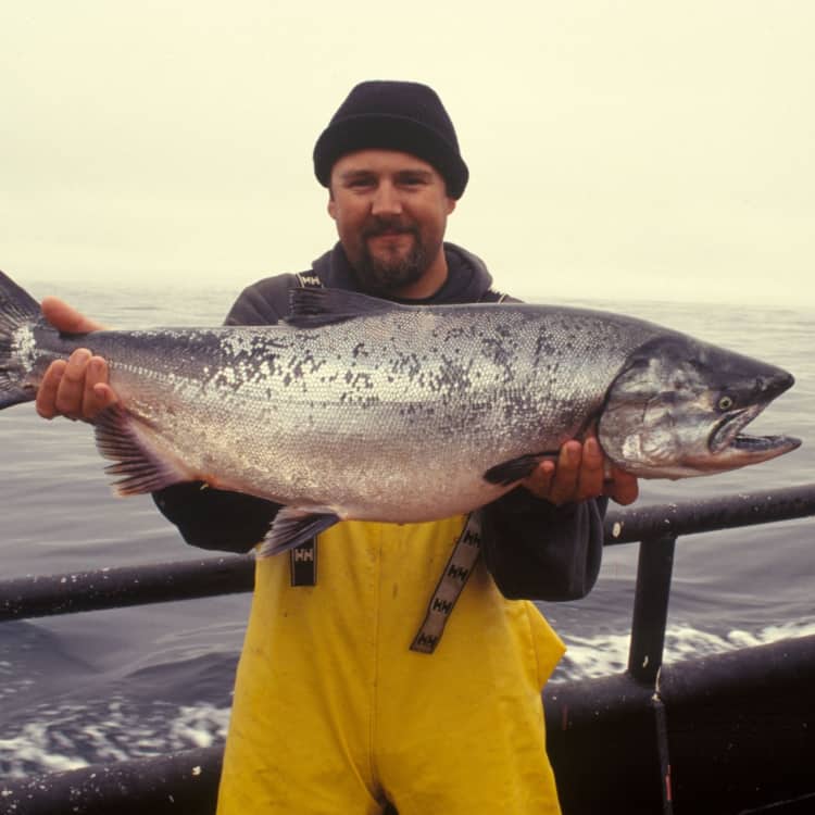 Fisherman with large salmon