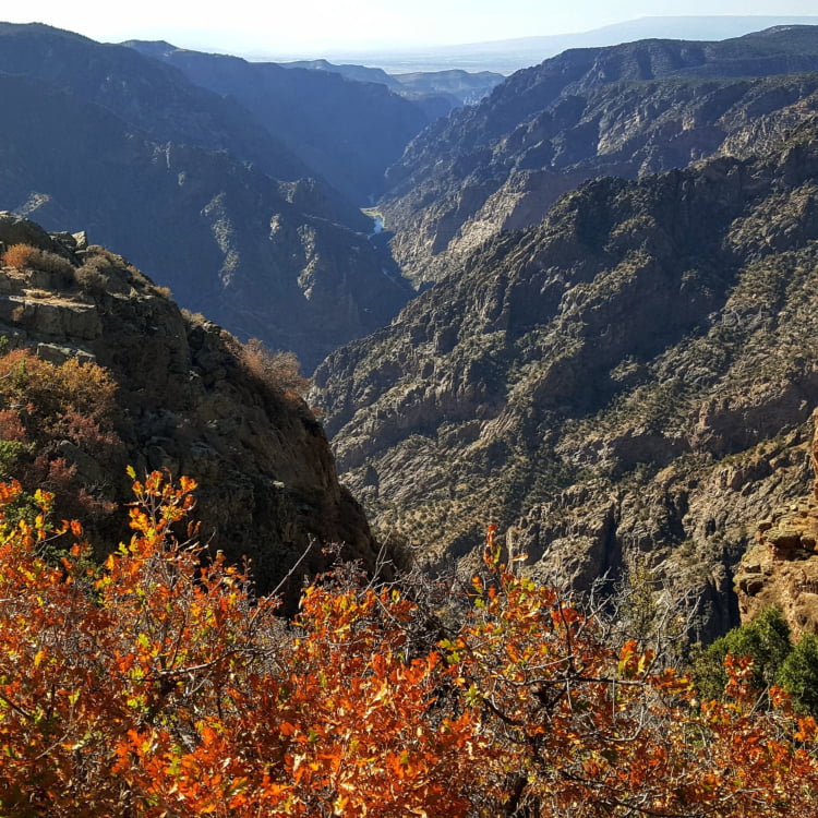 Black Canyon of the Gunnison National Park 750 1