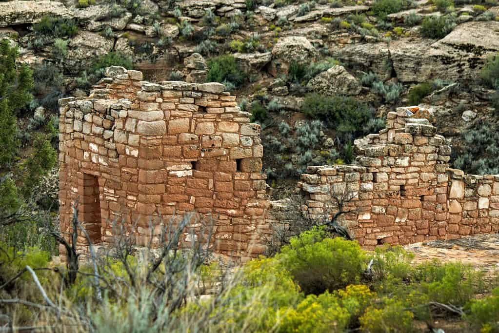 Hovenweep National Monument (Photo by D. Saparow)