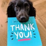 THANK YOU Dog