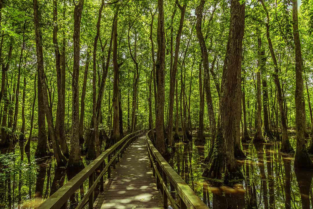The Natchez Trace Parkway: The Ultimate Recreational Scenic Road Trip ...